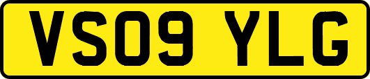 VS09YLG