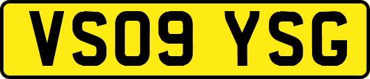 VS09YSG