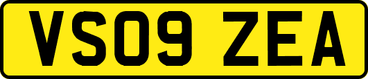 VS09ZEA
