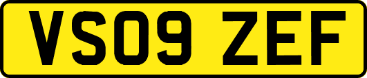 VS09ZEF
