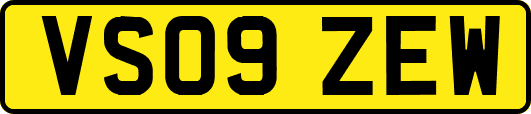 VS09ZEW