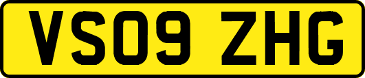 VS09ZHG