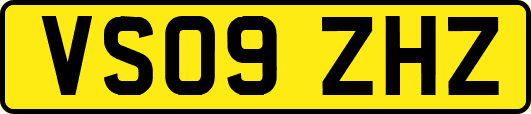 VS09ZHZ