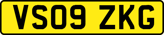 VS09ZKG