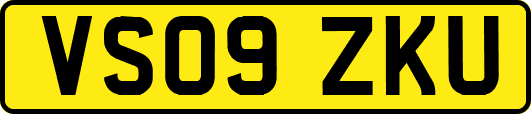 VS09ZKU