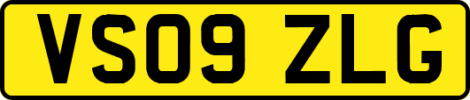 VS09ZLG