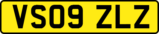 VS09ZLZ