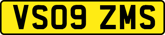 VS09ZMS