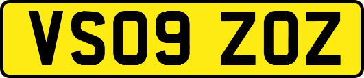 VS09ZOZ
