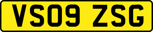 VS09ZSG