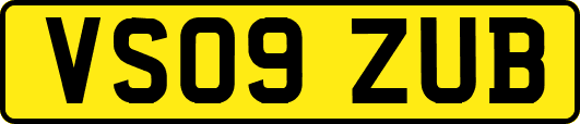 VS09ZUB