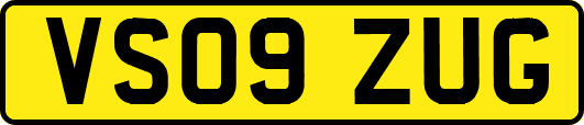 VS09ZUG