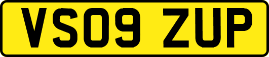VS09ZUP