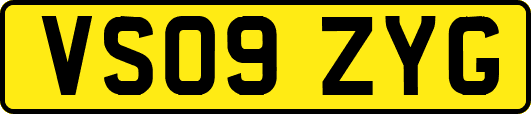 VS09ZYG