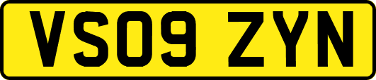 VS09ZYN