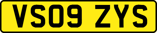 VS09ZYS