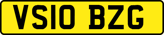 VS10BZG