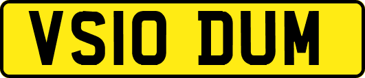 VS10DUM