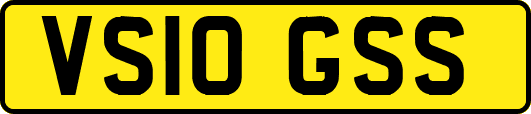 VS10GSS