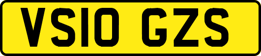 VS10GZS