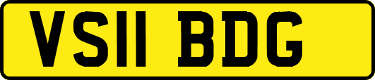 VS11BDG