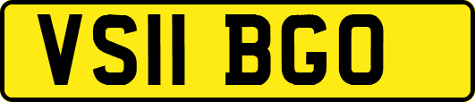VS11BGO