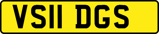 VS11DGS