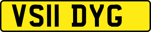 VS11DYG