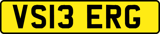VS13ERG