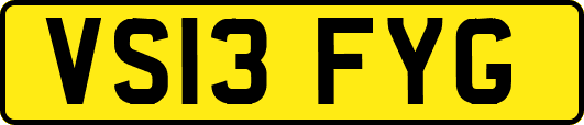 VS13FYG