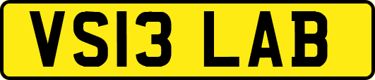 VS13LAB
