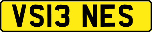 VS13NES