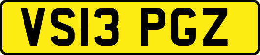 VS13PGZ