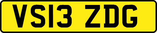 VS13ZDG