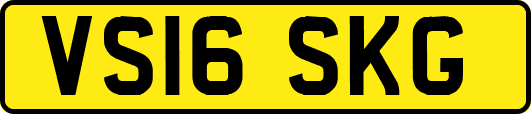 VS16SKG