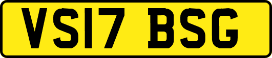 VS17BSG