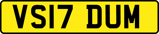 VS17DUM