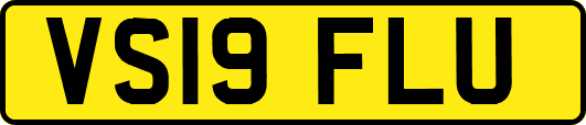 VS19FLU