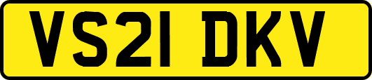 VS21DKV