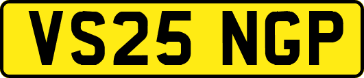 VS25NGP