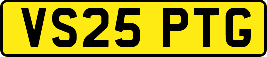 VS25PTG