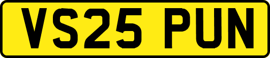 VS25PUN