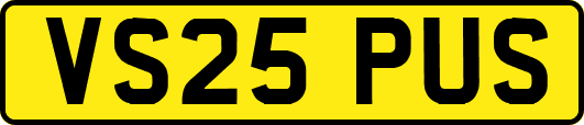 VS25PUS