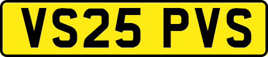 VS25PVS