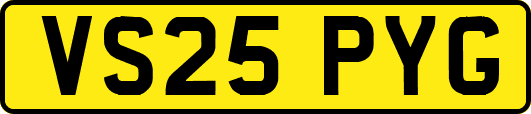 VS25PYG