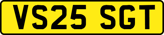 VS25SGT