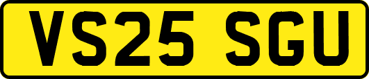 VS25SGU