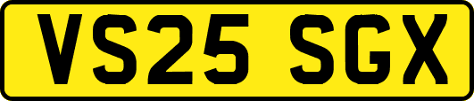 VS25SGX
