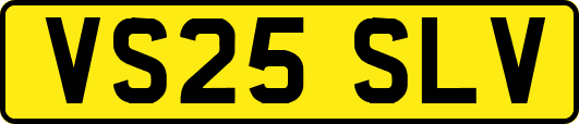 VS25SLV