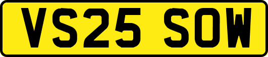 VS25SOW